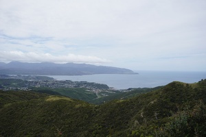 01670 towards island bay