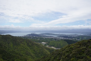 01677 matiu somes island view