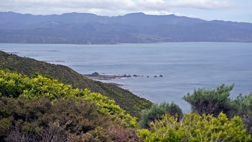 01708 view of taputeranga island v1