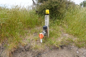 01715 stoat automatic humane trap