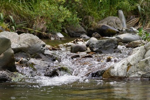 01842 stream crossing