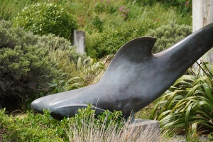 01947 te kopahou shark sculpture  frenzy