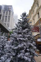 02003 christmas tree