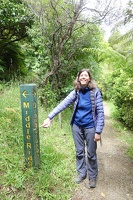 08963 navigational marker middle ridge or orongorongo
