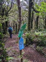 20221201 001229230 some arrows xterra