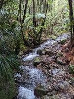20221201 010148436 stream