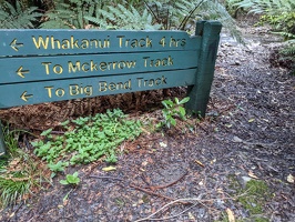 20221201 010156877 whakanui track 4h