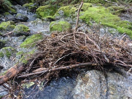 20221219 220343204 beaver dam no beavers here though
