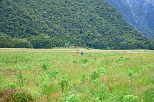 09366 ellen and daniel walking across the field v1