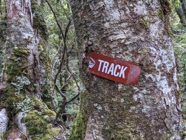 20221222 021604429 track