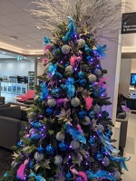 20221217 204543531 wlg pink and blue birds and feathers