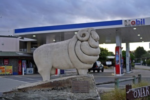 02946 omarama merinos statue v1