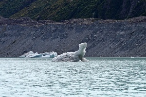 03030 pointy iceberg like bear v1