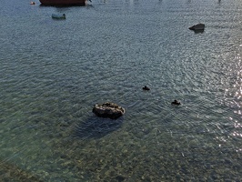 20221227 063424891 precarious nest v1