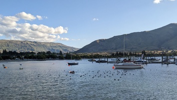 20221227 063450034 lots of waterfowl v1