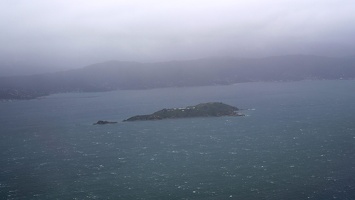 04589 matiu somes island v1