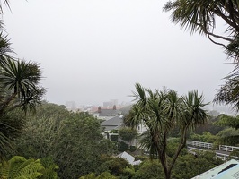 20230106 192555771 kelburn view