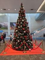 20230107 204124719 yyz christmas tree