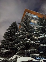 20230121 235643999 snowy trees