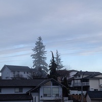 20230128 161330948 suburban in abbotsford v1