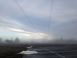 20230128 161613385 misty v1