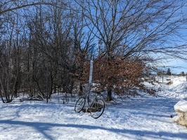 20230309 191915834 biking to winter birdwatching