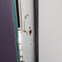 20230405 205505048 splat v1