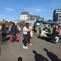 20230624 235029369 like tigger v1