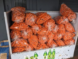 20230714 005908441 carrots for sale