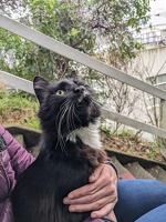 20230723 012219608 sylvester