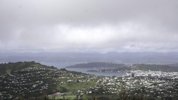 02884 wellington harbour view v1