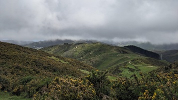 Johnston Hill, November 4