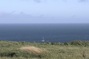02894 sailboat cook strait v1