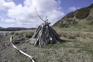 02909 teepee v1