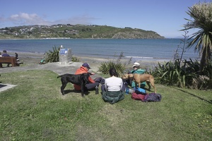 02917 picnic with dogs