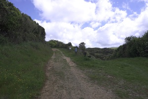 02953 track v1