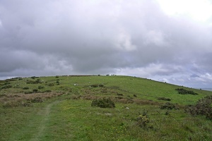 02956 grassy hills v1