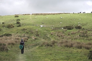 02960 grassy track v1