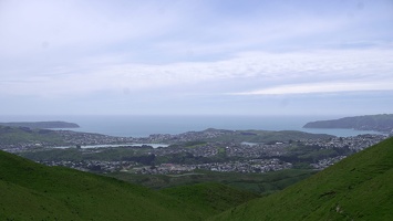 03033 suburbs petone and wellington harbour v1