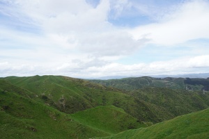 03046 more green
