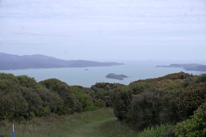 03050 somes island matiu v1