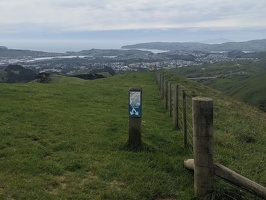 20231118 014848032 which way puke ariki v1