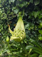 Wellington, November