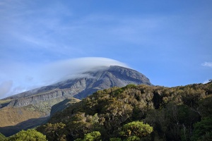 Around the Mountain Circuit (Taranaki), January 2023