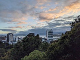 20230101 170550638 wellington summer morning