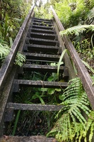 09808 stairs to climb