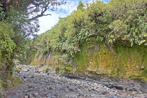 09857 mossy cliff by riverside v1