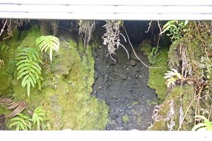 09865 moss and mud v1