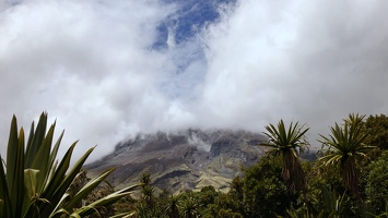 09875 maunga in the clouds v1