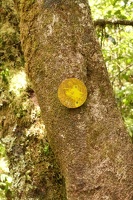 09880 old trail marker